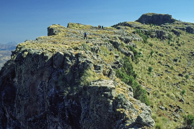 Simien 2002