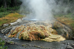 Yellowstone 2008