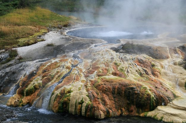 Yellowstone 2008